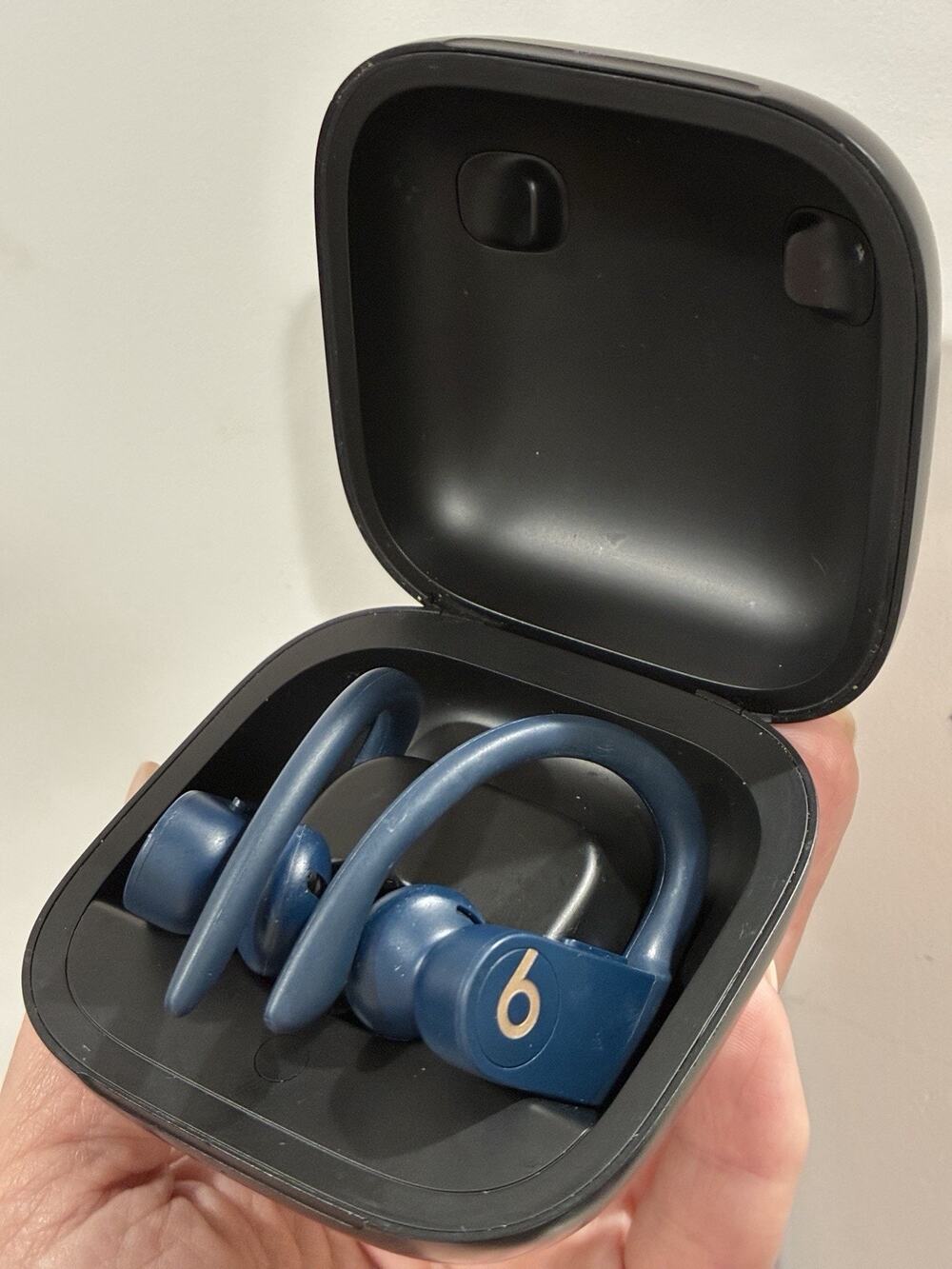 Beats by Dre Powerbeats Pro Totally Wireless Earbuds Navy with Case Glacier Blue